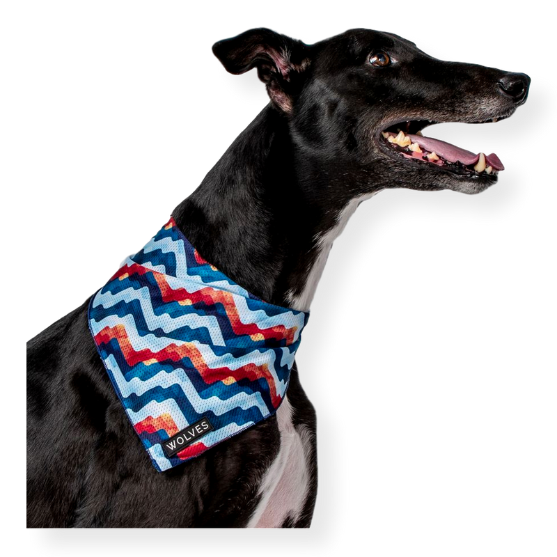 Wolves of Wellington Dog Mesh Bandana Maverick