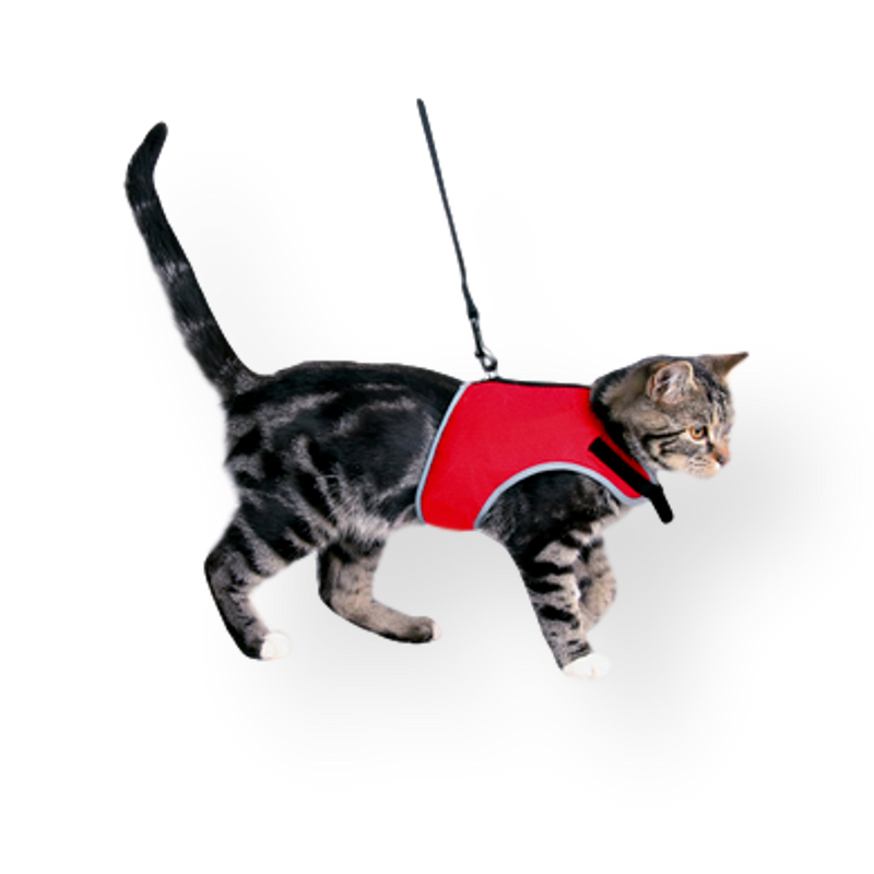 Soft Harness for Cats
