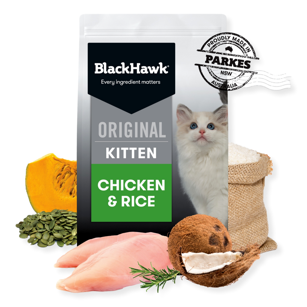 Black Hawk Chicken & Rice Kitten Food