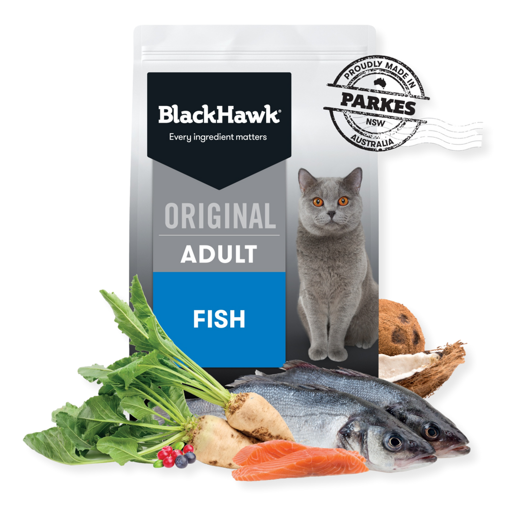 Black Hawk Fish Cat Food