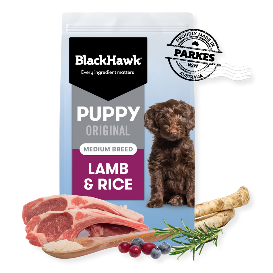 Black hawk 2025 puppy lamb