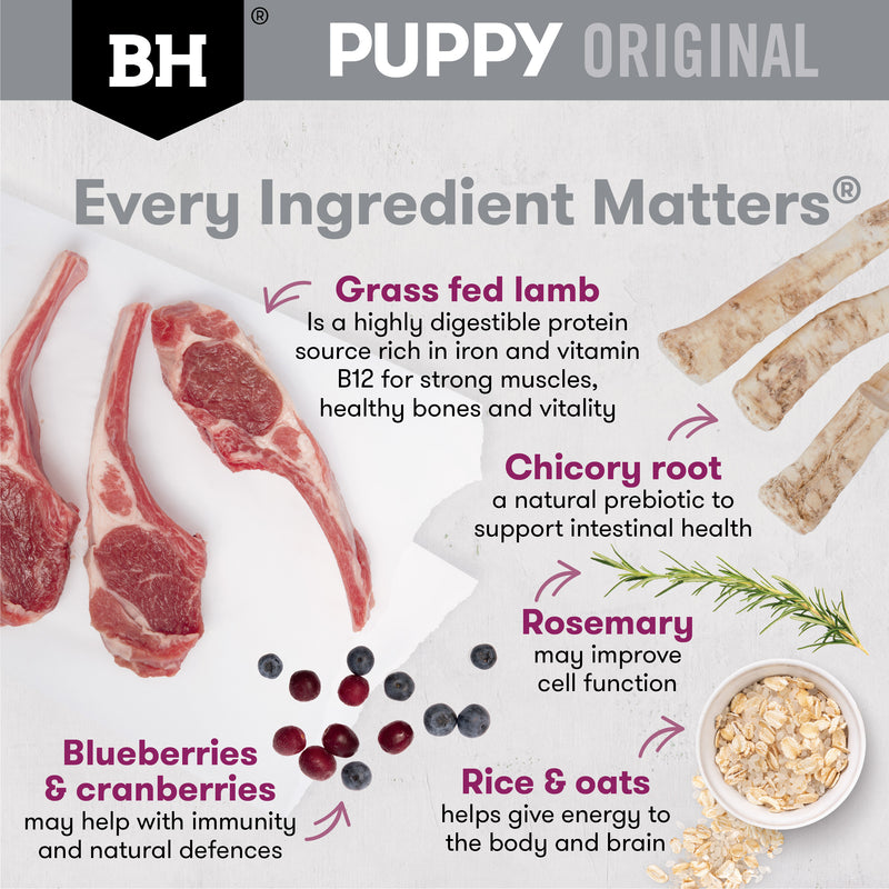 Black Hawk Lamb & Rice Medium Puppy Food