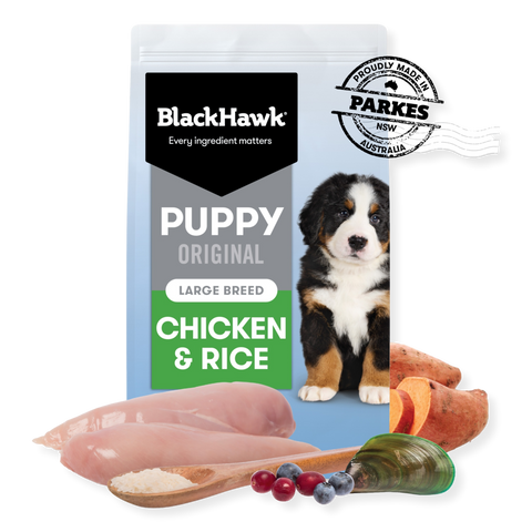 Black hawk sales puppy food 20kg