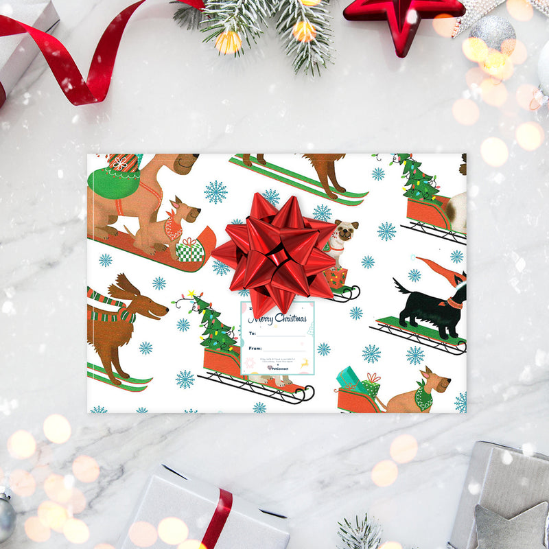 Christmas Dog Gift Box