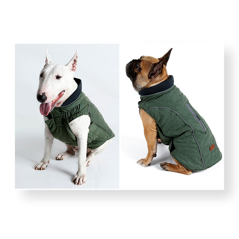 Oneroa Padded Dog Vest Green