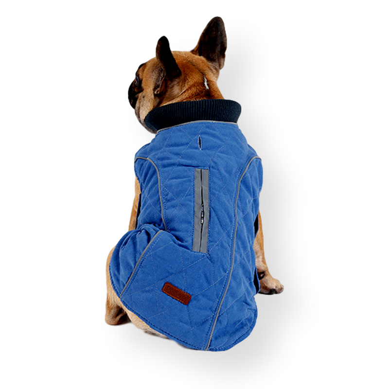 Oneroa Padded Dog Vest Blue