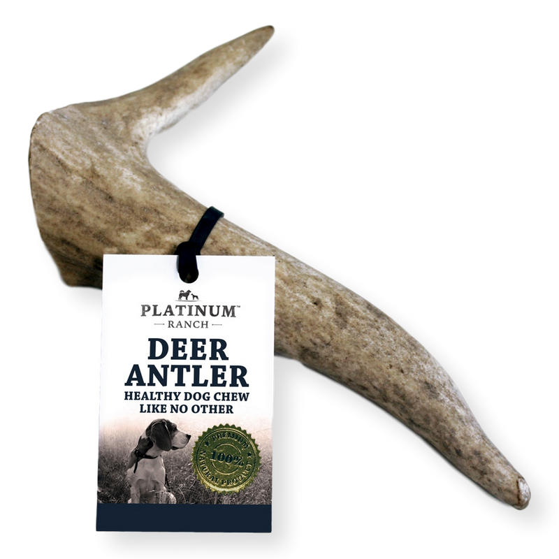 Platinum Ranch Deer Antler