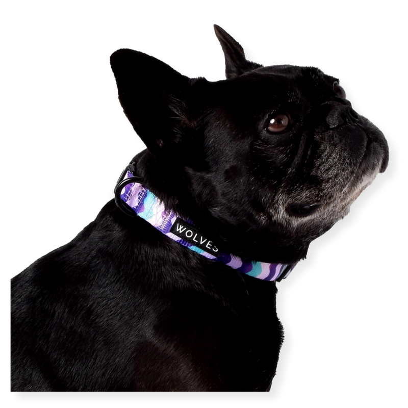 Wolves of Wellington Dog Collar Sulley