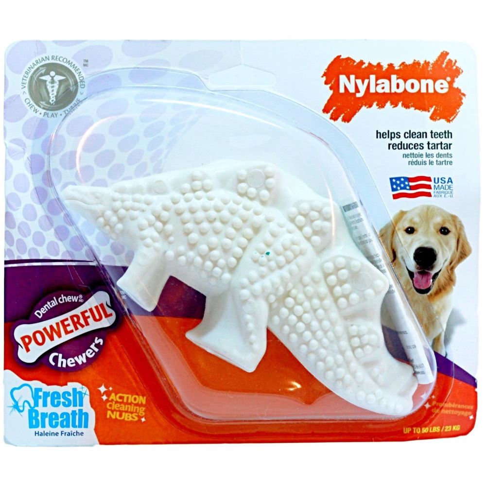 Nylabone Dental Dinosaur Dog Toy