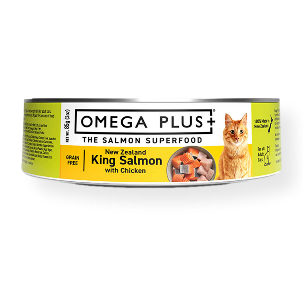 Omega Plus Cat Food Wet King Salmon + Chicken in Gravy