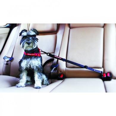 EzyDog Click Car Restraint 