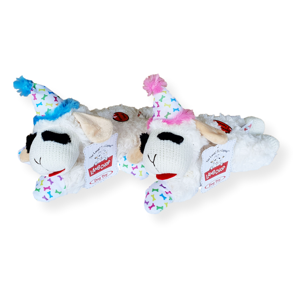 Lamb Chop Birthday Dog Toy