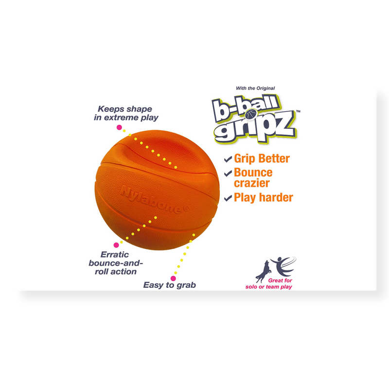 Nylabone Basketball Gripz Dog Toy