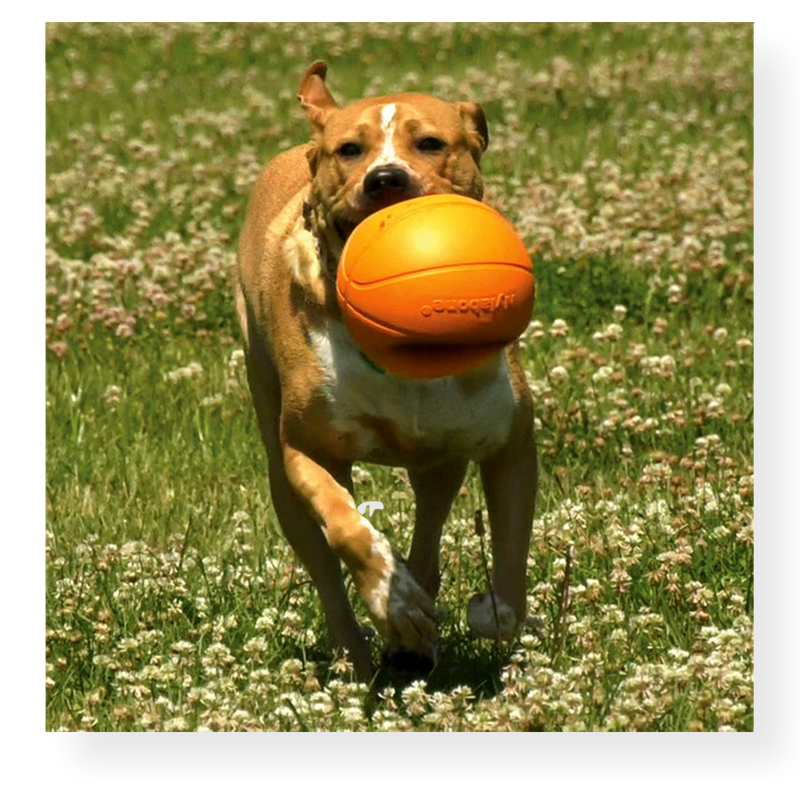 Nylabone Basketball Gripz Dog Toy