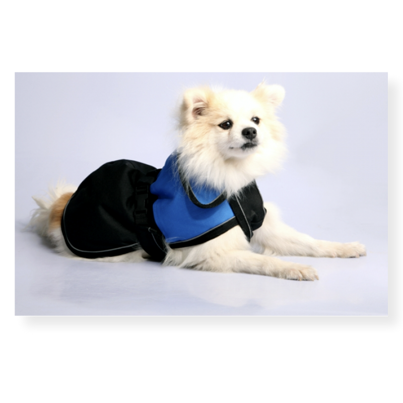 Pet One Blizzard Dog Coat Blue