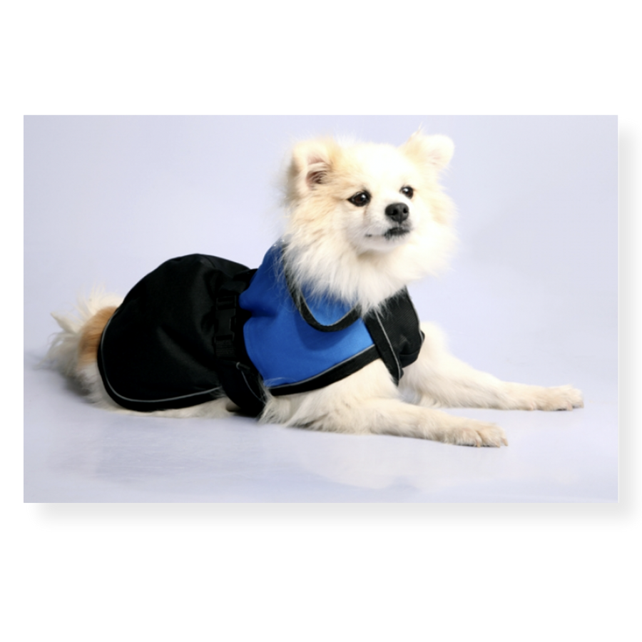 Pet One Blizzard Dog Coat Blue Pet Connect NZ