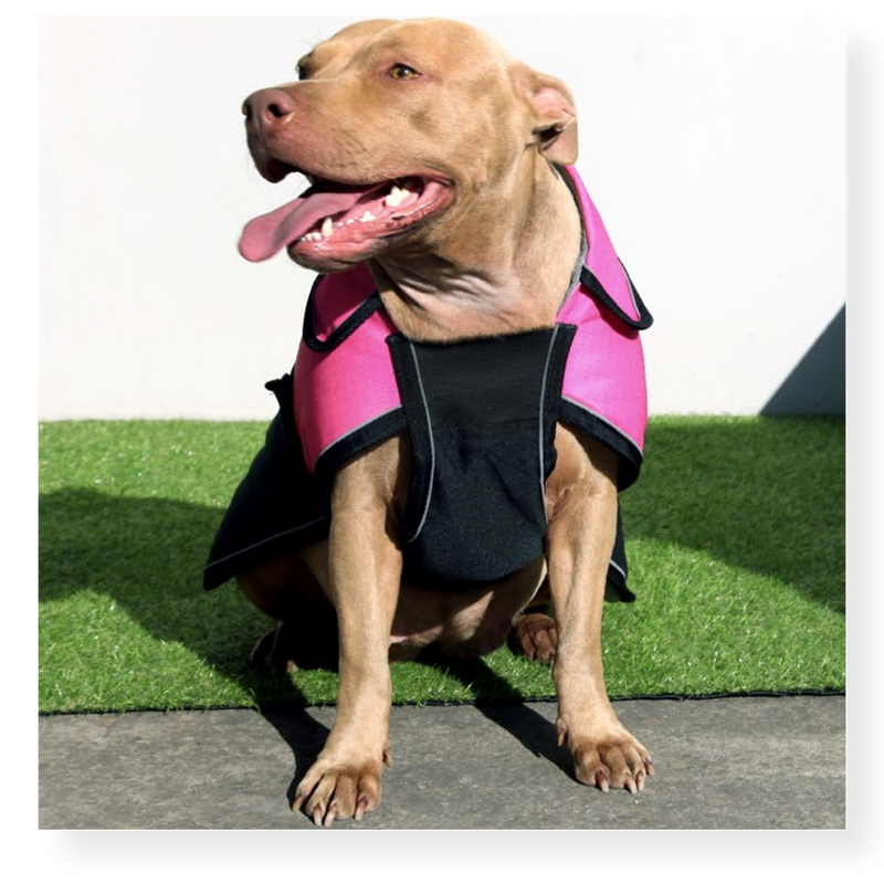 Pet One Blizzard Dog Coat Pink