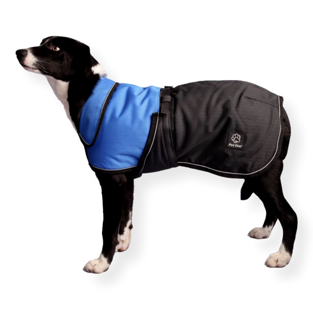 Pet One Blizzard Dog Coat Blue