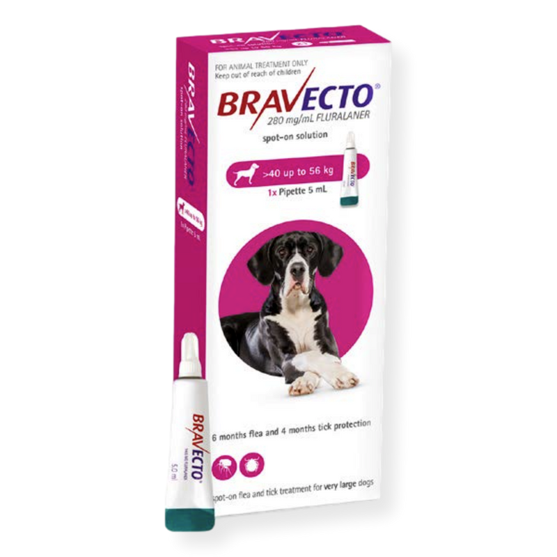 Bravo flea best sale treatment