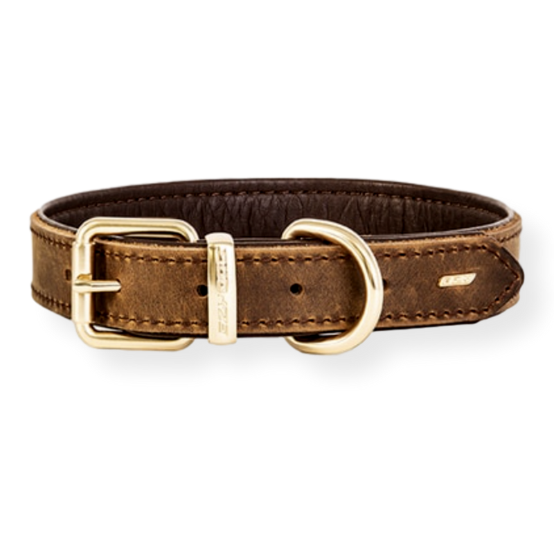 EzyDog Oxford Dog Collar
