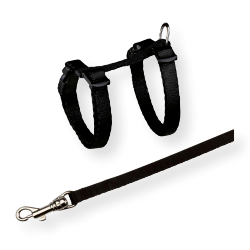 Cat Harness & Lead