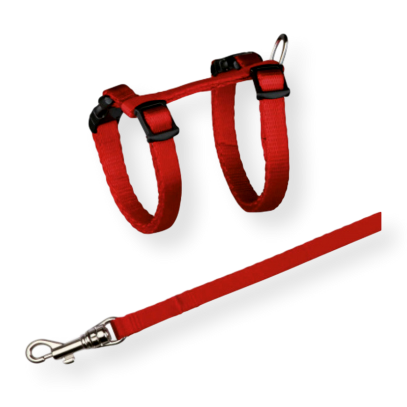 Cat Harness & Lead