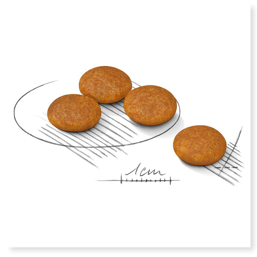 Dermacomfort dog food hotsell
