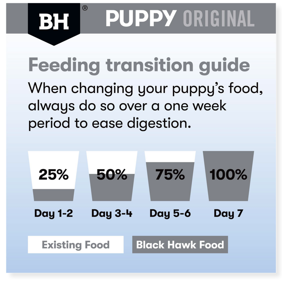 Black hawk best sale puppy large breed