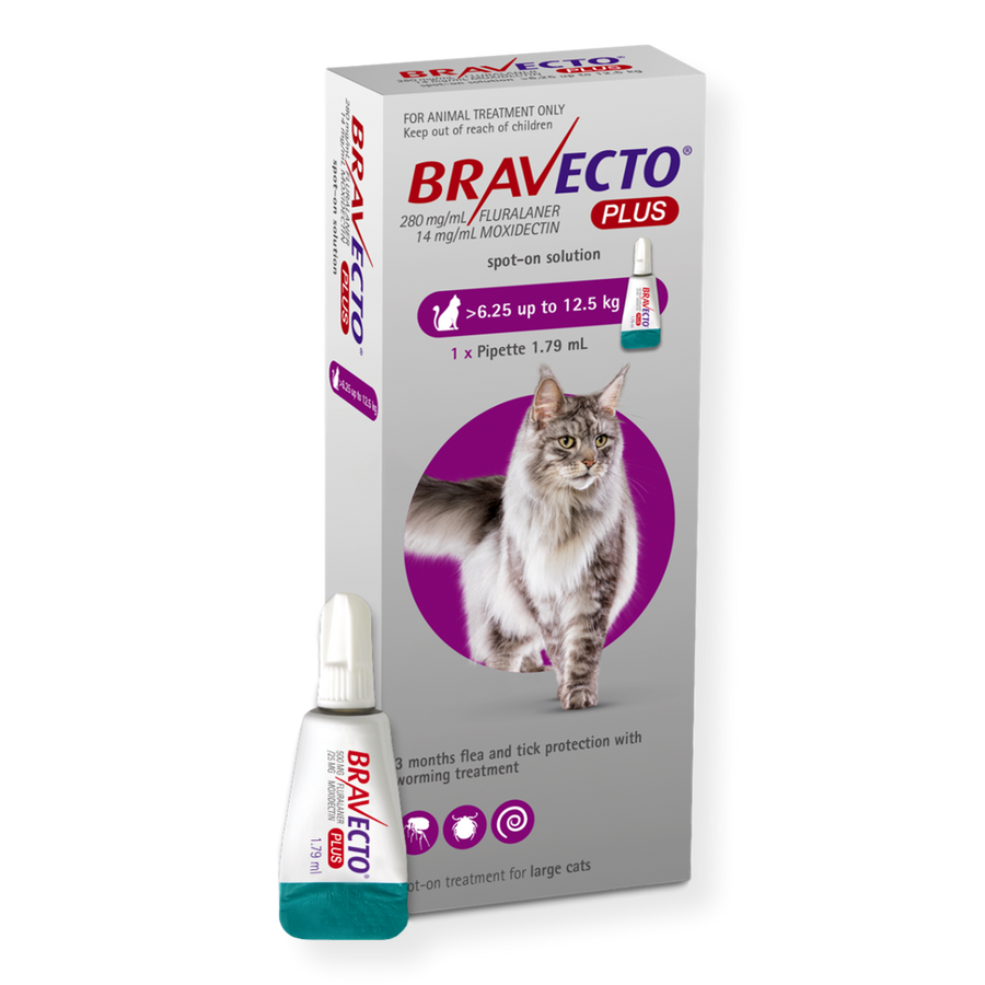 Bravecto Spot On PLUS Cat Flea & Worm Treatment – Pet Connect NZ