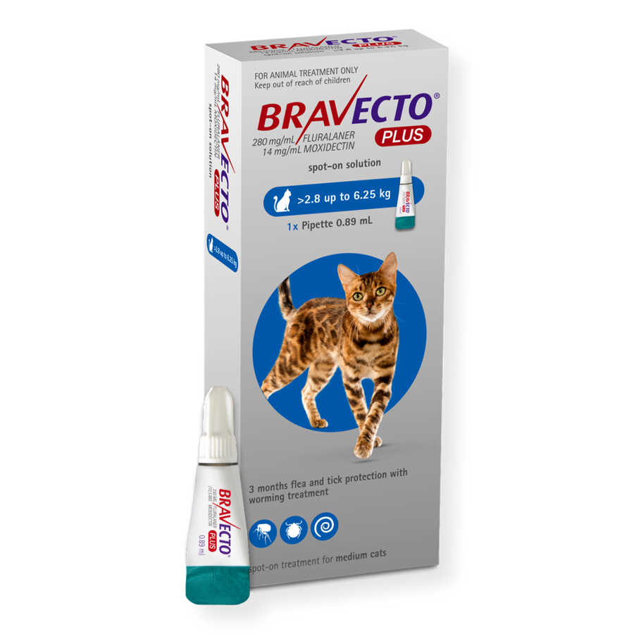 Bravecto Spot On PLUS Cat Flea Worm Treatment Pet Connect NZ