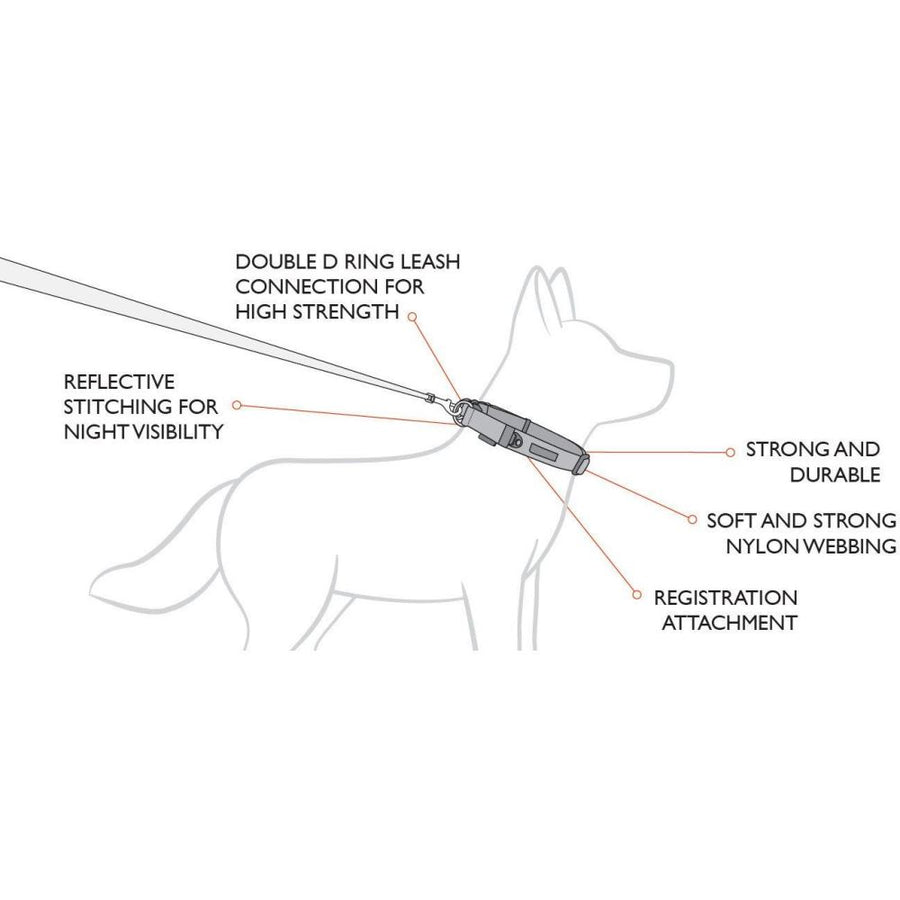 Ezydog double deals up collar