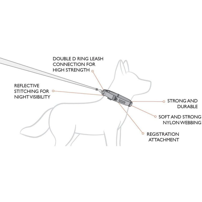 EzyDog Double Up Collar