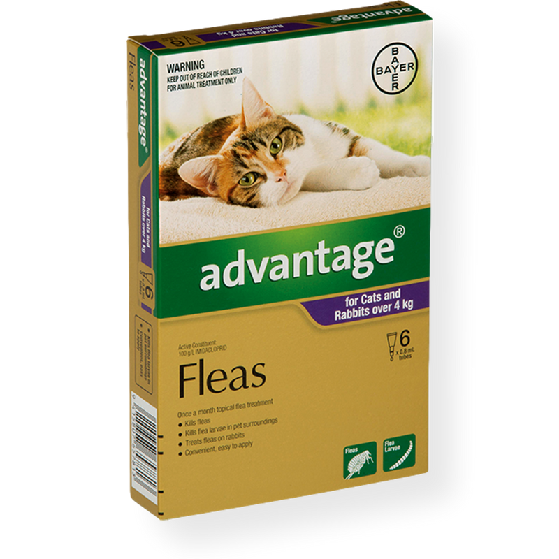 Advantage Spot On Small Cat Flea Treatment 0-4kg