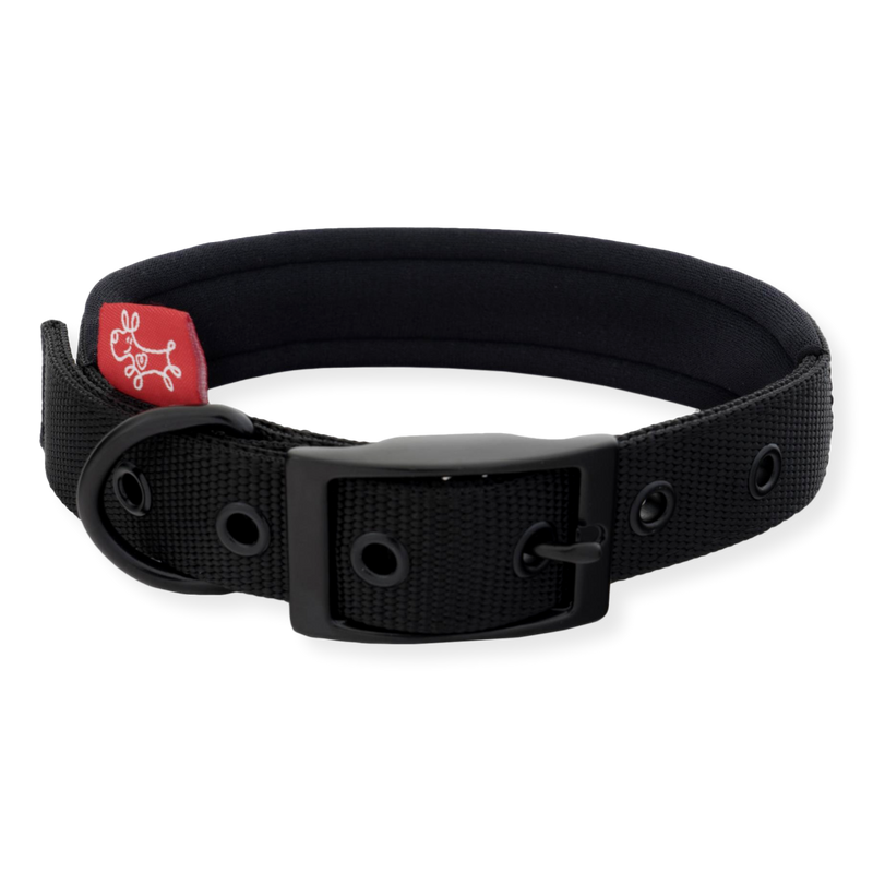 Yours Droolly Foam Collar Black
