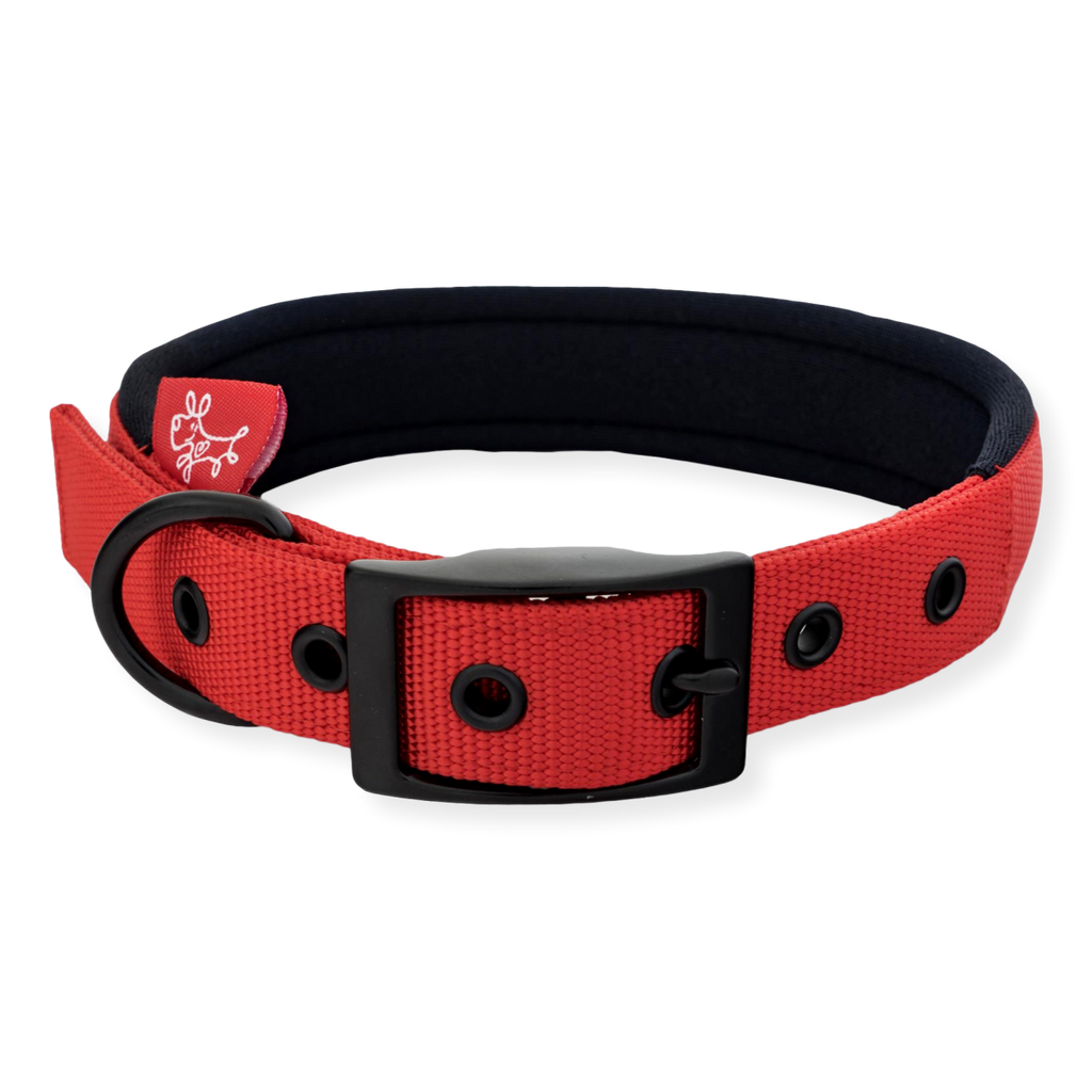 Yours Droolly Foam Collar Red