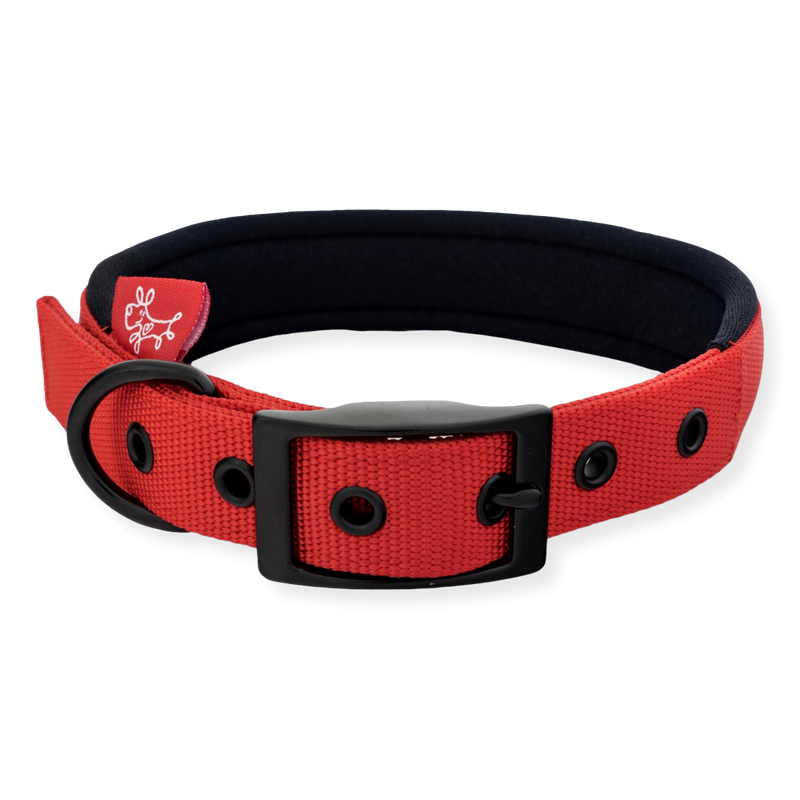 Yours Droolly Foam Collar Red