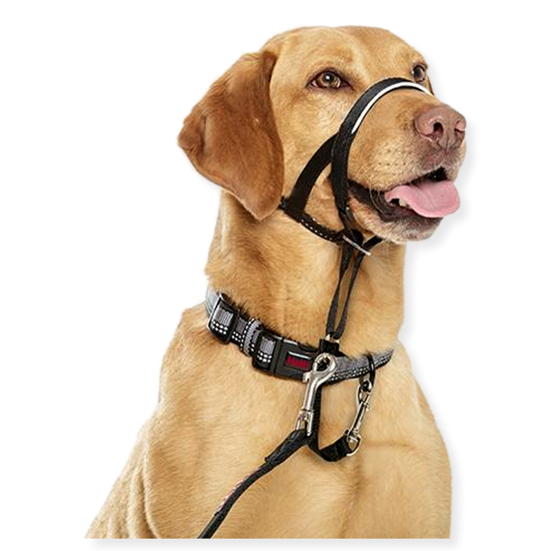 Halti Dog Head Collar