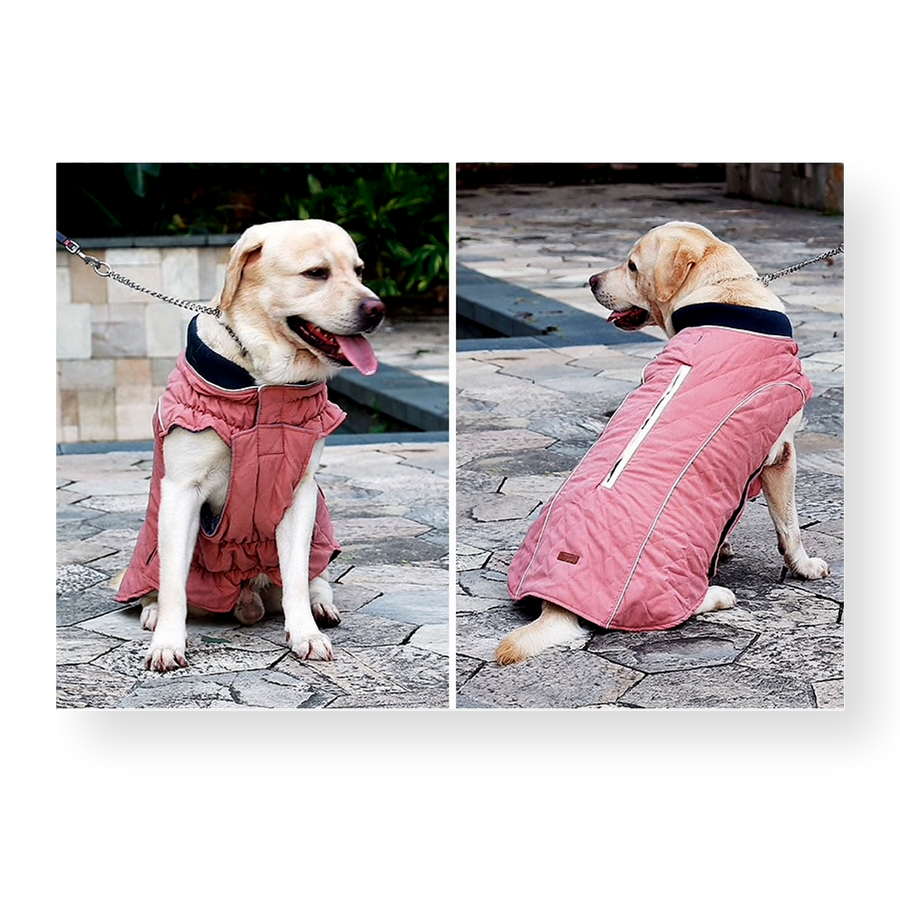 Oneroa Padded Dog Vest Pink Pet Connect NZ