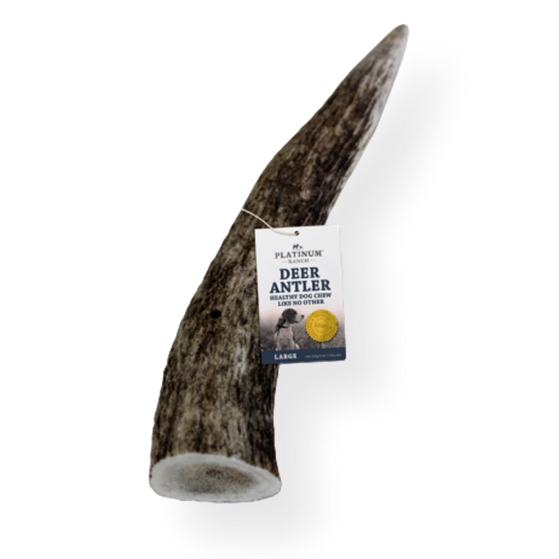 Platinum Ranch Deer Antler - Large