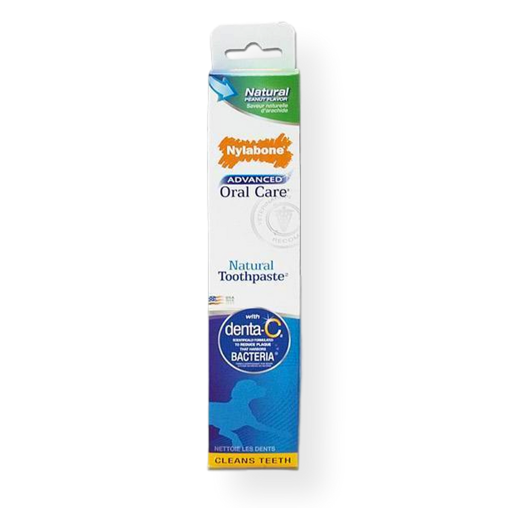 Advance Oral Care Toothpaste Natural Flavour