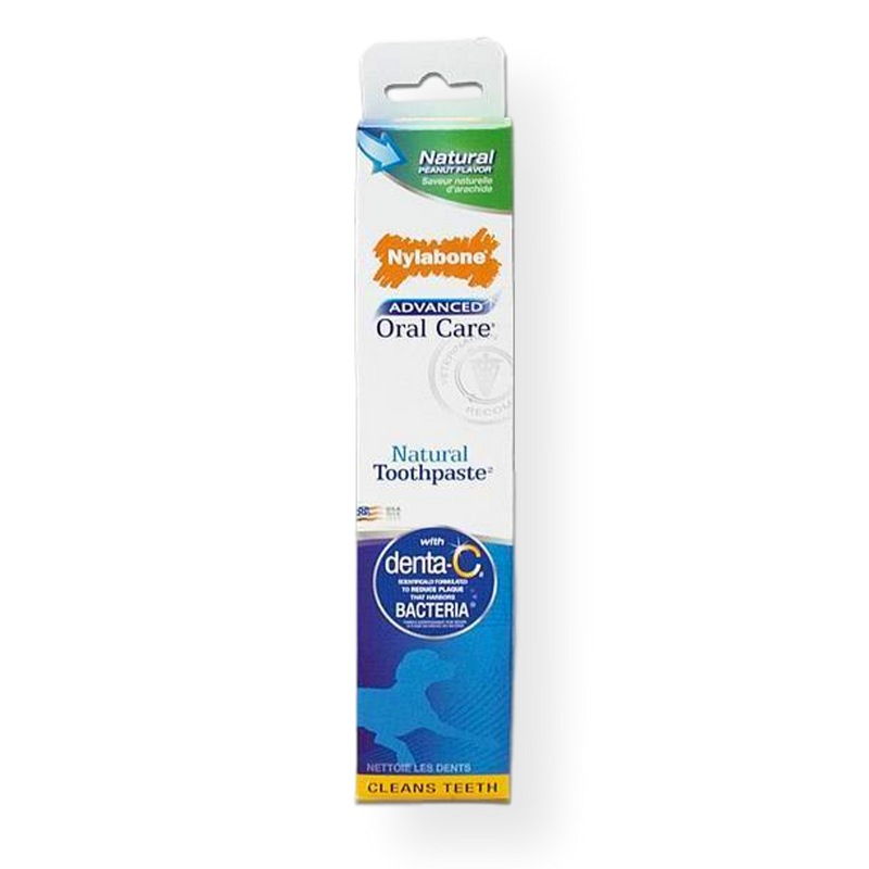 Advance Oral Care Toothpaste Natural Flavour