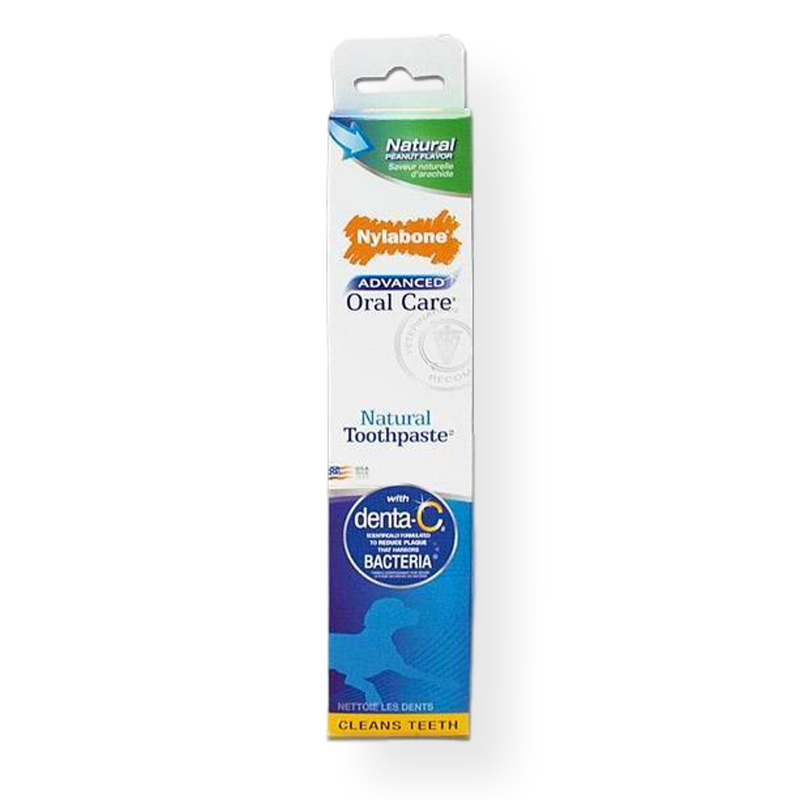 Advance Oral Care Toothpaste Natural Flavour 70g