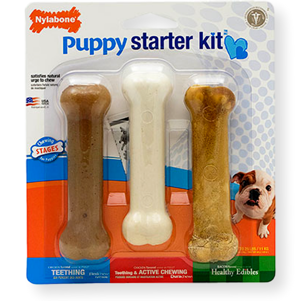 Nylabone Puppy Starter Kit Dog Toy