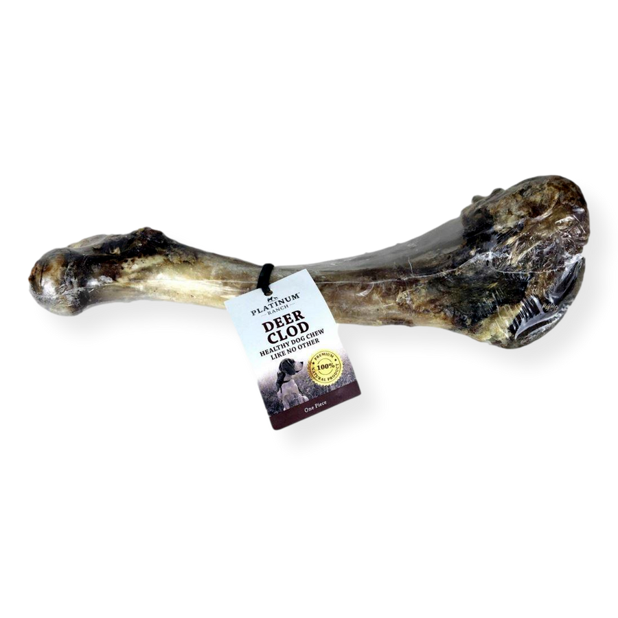 Venison bones for hotsell dogs