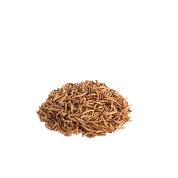 Topflite Dried Mealworms