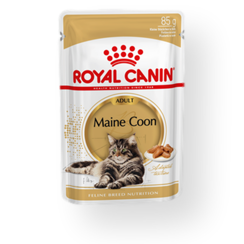 Royal Canin Maine Coon Adult 